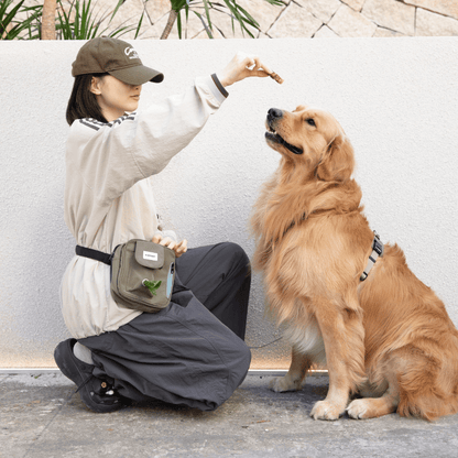 Dog Treat Training Pouch with Multi-Way Wear and Large Storage - ZoePaws