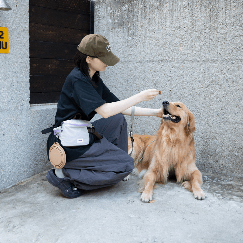 Dog Treat Training Pouch with Multi-Way Wear and Large Storage - ZoePaws