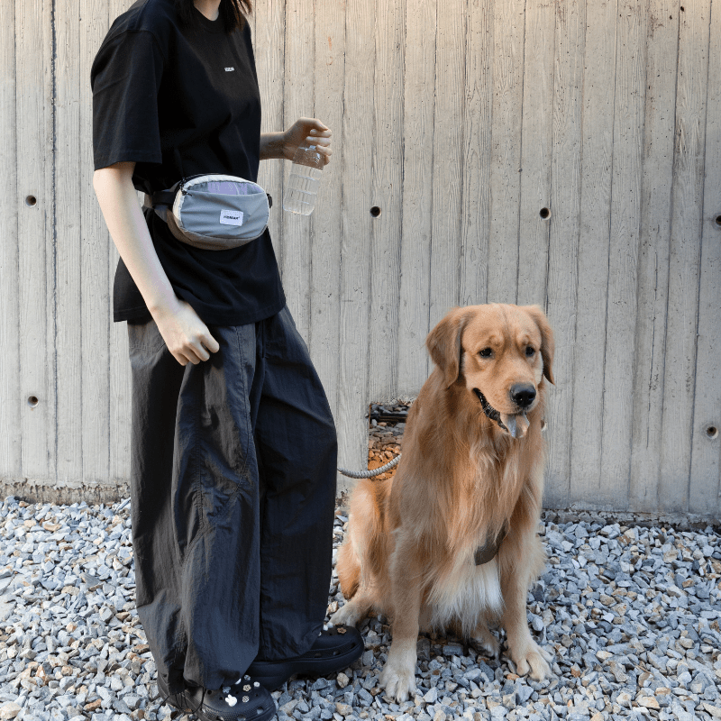 Dog Treat Training Pouch with Multi-Way Wear and Large Storage - ZoePaws