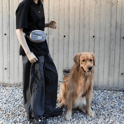 Dog Treat Training Pouch with Multi-Way Wear and Large Storage - ZoePaws