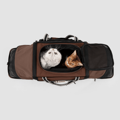 Katzen ruhen im erweiterten doppelten Zelt Haustier-Reise-Transporter, Draufsicht