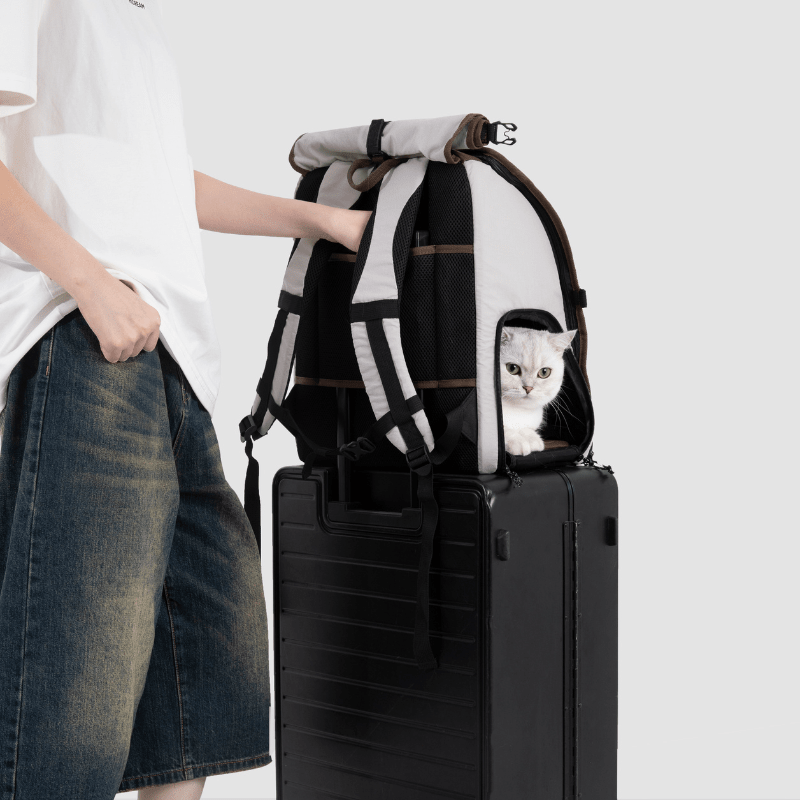Ergonomic Anti-Sag Pet Backpack - ZoePaws