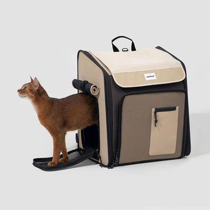 Braune Katze steigt in beigen erweiterten Katzen-Tragerrucksack