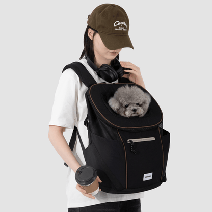 Schwarzer leichter vorderer Haustier-Rucksack, getragen vom Besitzer, mit einem ruhenden grauen Hund darin