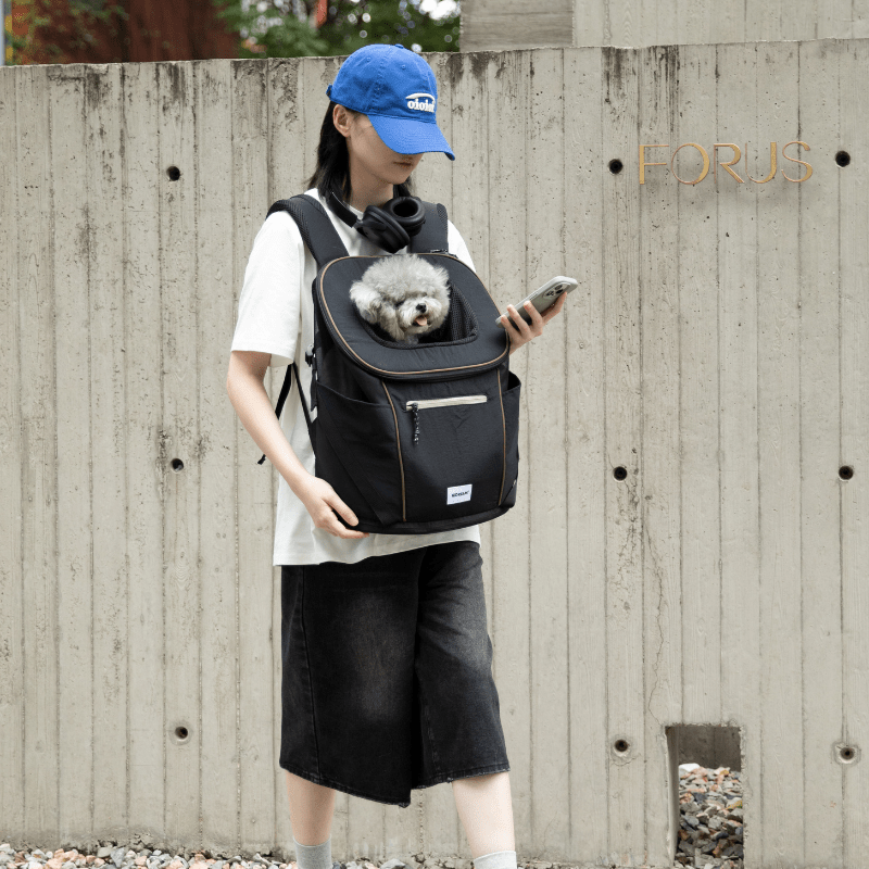 Schwarzer leichter Front-Haustier-Rucksack draußen getragen, grauer Hund ruht in oberer Öffnung
