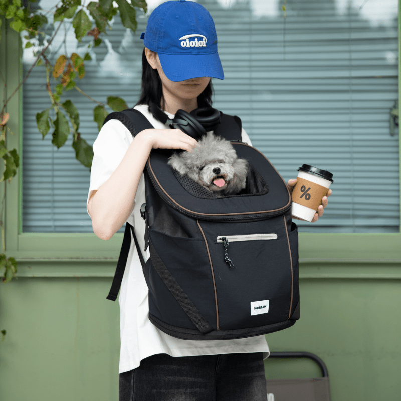 Schwarzer leichter vorderer Haustier-Rucksack, getragen vom Besitzer, mit einem grauen Hund vor einer grünen Wand