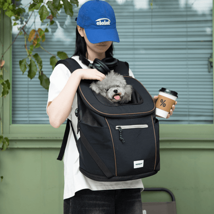 Schwarzer leichter vorderer Haustier-Rucksack, getragen vom Besitzer, mit einem grauen Hund vor einer grünen Wand