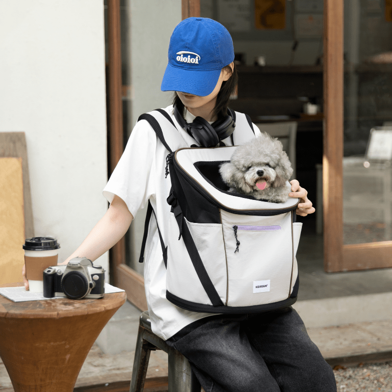 Hellgraue leichte vordere Haustier-Rucksacktasche, getragen von einem sitzenden Besitzer, mit einem grauen Hund darin