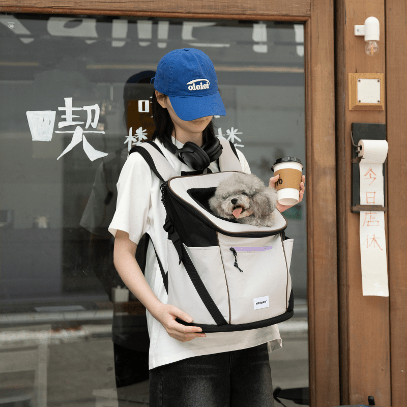Hellgraue leichte vordere Haustier-Rucksacktasche, getragen vom Besitzer am Café-Eingang, mit einem grauen Hund darin
