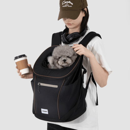 Schwarzer leichter vorderer Haustier-Rucksack, getragen vom Besitzer, mit einem grauen Hund im oberen Öffnungsbereich