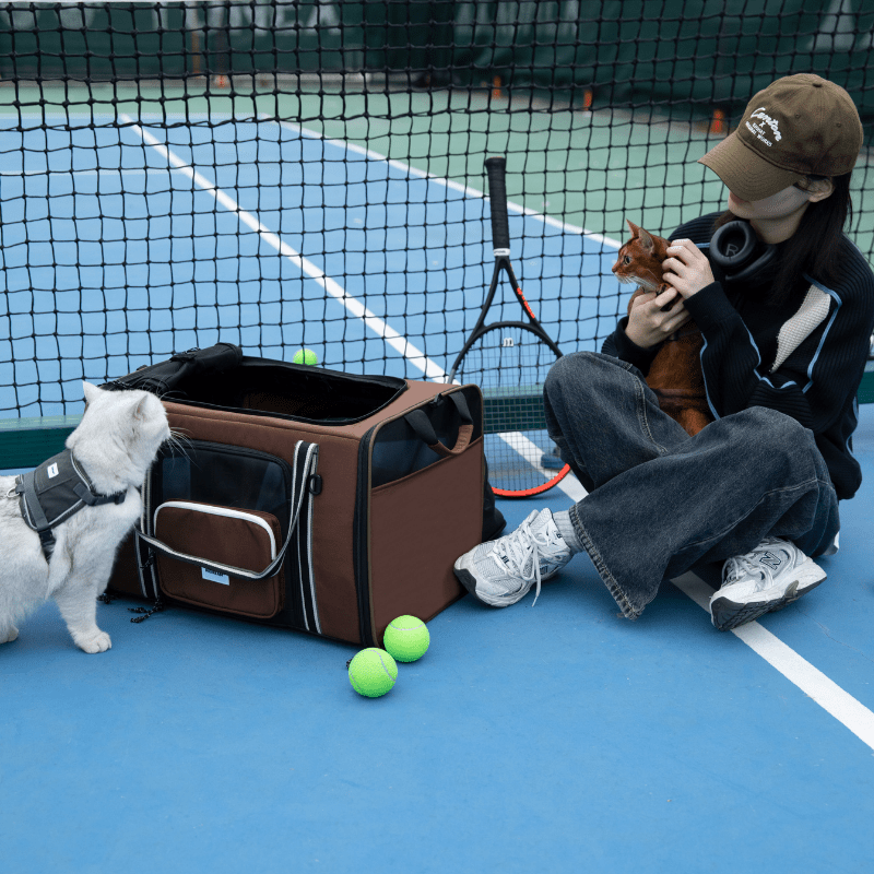 MAX Expandable Pet Travel Carrier for Cats and Small Dogs - ZoePaws