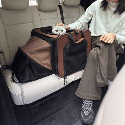 MAX Expandable Pet Travel Carrier for Cats and Small Dogs - ZoePaws