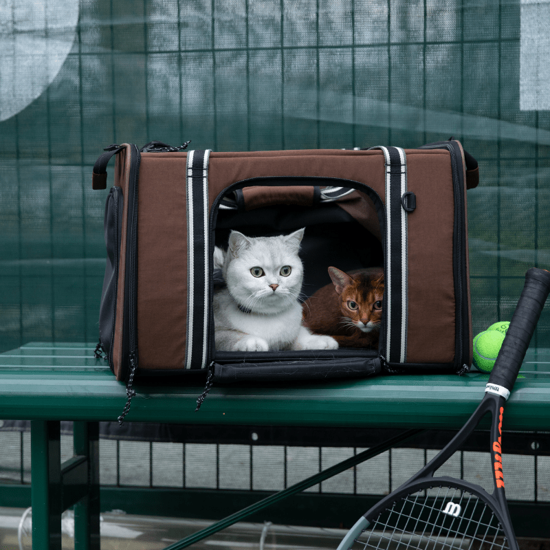 MAX Expandable Pet Travel Carrier for Cats and Small Dogs - ZoePaws