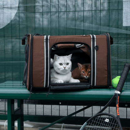 MAX Expandable Pet Travel Carrier for Cats and Small Dogs - ZoePaws