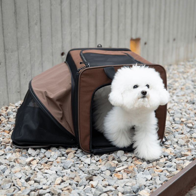 MAX Expandable Pet Travel Carrier for Cats and Small Dogs - ZoePaws