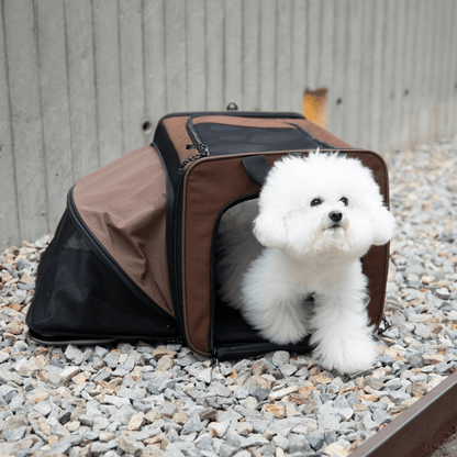 MAX Expandable Pet Travel Carrier for Cats and Small Dogs - ZoePaws