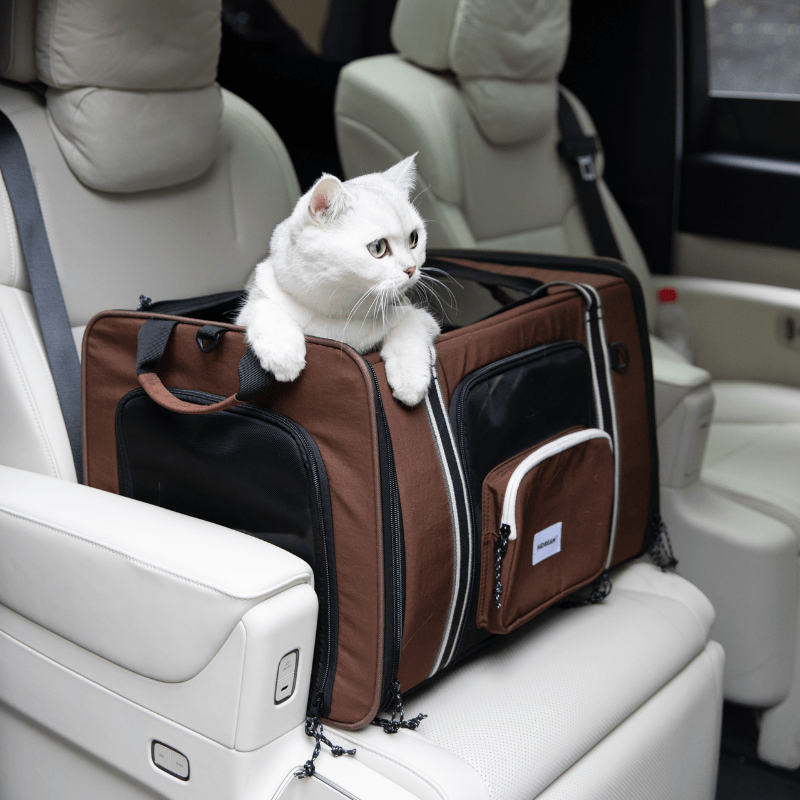 MAX Expandable Pet Travel Carrier for Cats and Small Dogs - ZoePaws