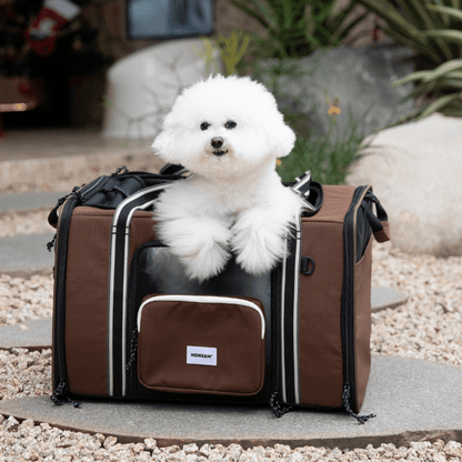 MAX Expandable Pet Travel Carrier for Cats and Small Dogs - ZoePaws