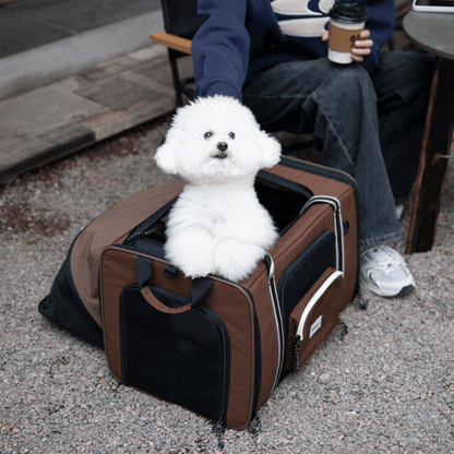 MAX Expandable Pet Travel Carrier for Cats and Small Dogs - ZoePaws