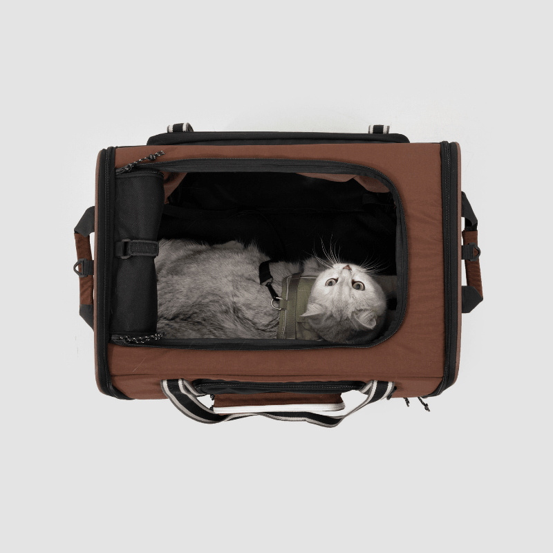 MAX Expandable Pet Travel Carrier for Cats and Small Dogs - ZoePaws