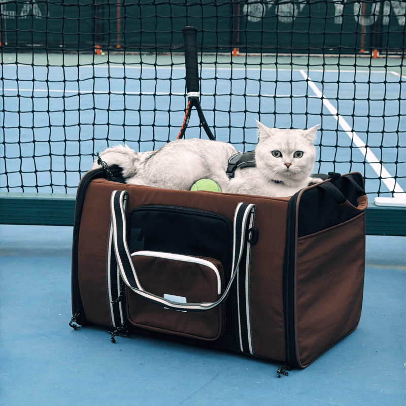 MAX Expandable Pet Travel Carrier for Cats and Small Dogs - ZoePaws