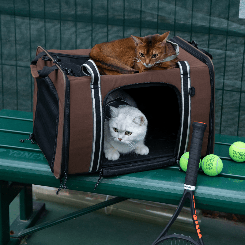 MAX Expandable Pet Travel Carrier for Cats and Small Dogs - ZoePaws