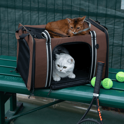 MAX Expandable Pet Travel Carrier for Cats and Small Dogs - ZoePaws