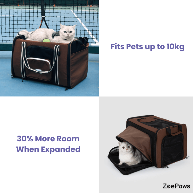 MAX Expandable Pet Travel Carrier for Cats and Small Dogs - ZoePaws