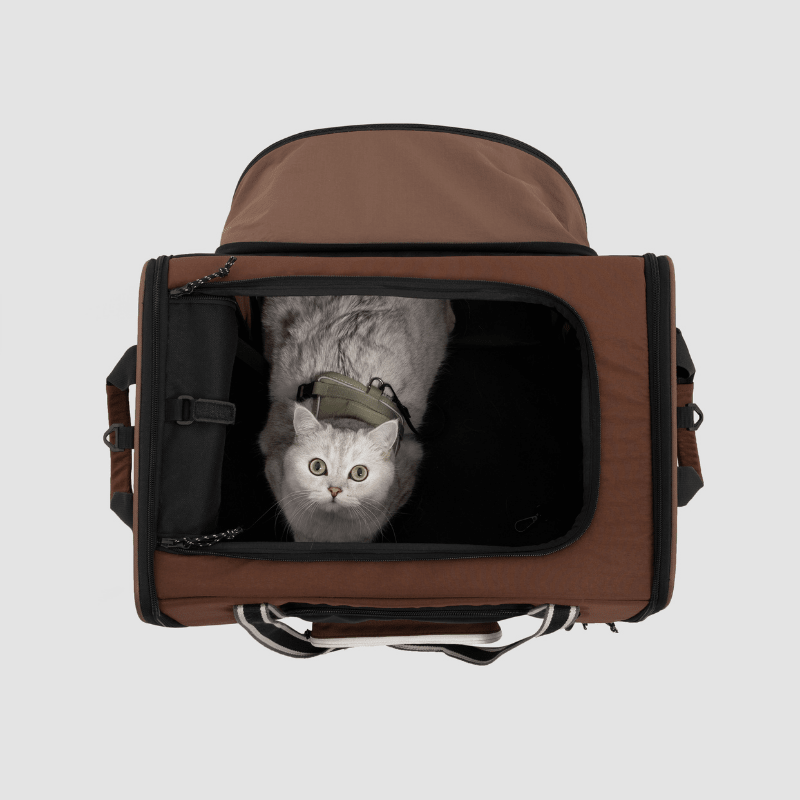 MAX Expandable Pet Travel Carrier for Cats and Small Dogs - ZoePaws