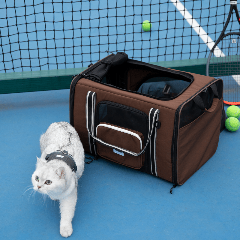 MAX Expandable Pet Travel Carrier for Cats and Small Dogs - ZoePaws