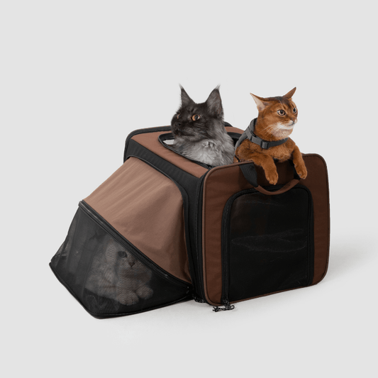 MAX Expandable Pet Travel Carrier for Cats and Small Dogs - ZoePaws
