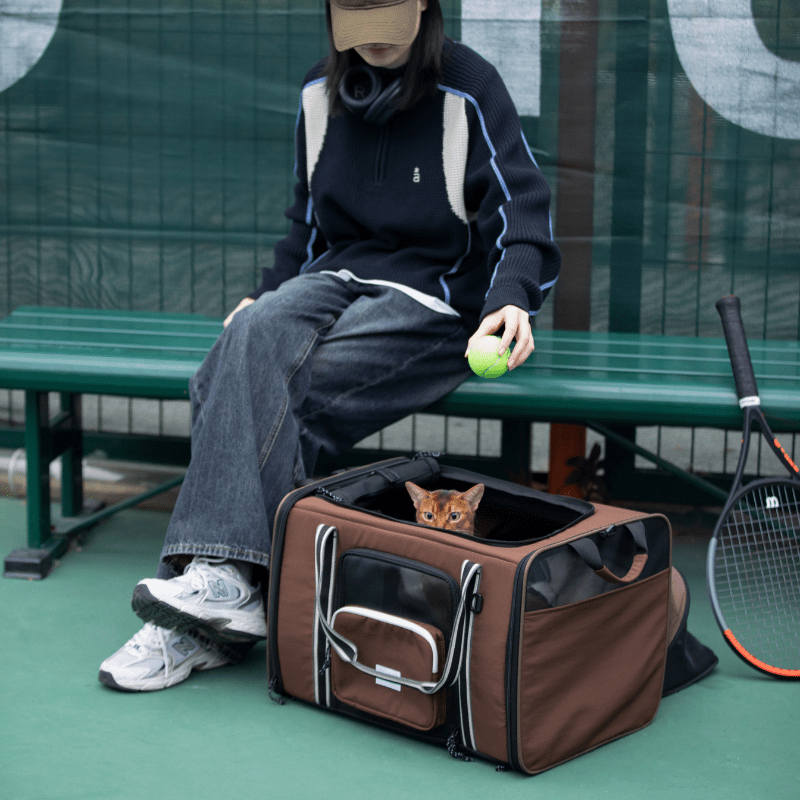 MAX Expandable Pet Travel Carrier for Cats and Small Dogs - ZoePaws