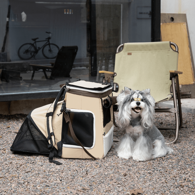 Beige Haustier-Rucksack-Tragetasche mit erweitertem Zelt und kleinem Hund daneben sitzend