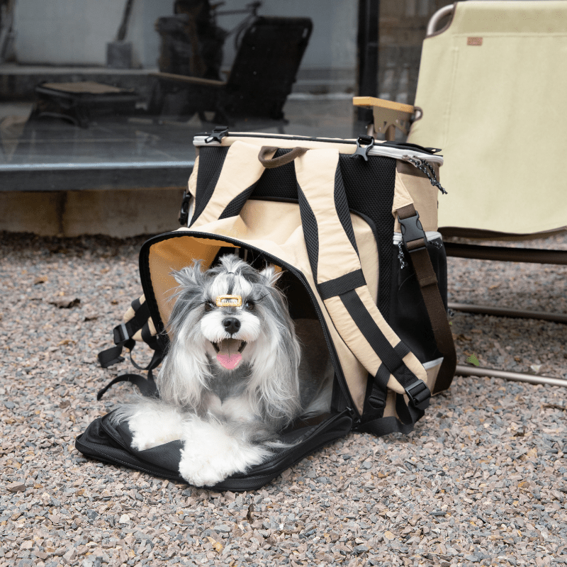 Beige Haustier-Rucksack-Tragetasche mit erweitertem Seitenzelt und kleinem Hund drin