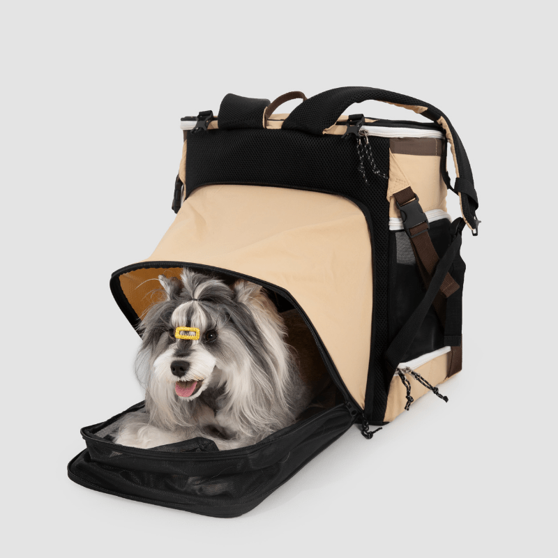 Beige Haustier-Rucksack-Tragetasche mit erweitertem Zelt und Hund in seitlicher Öffnung ruhend