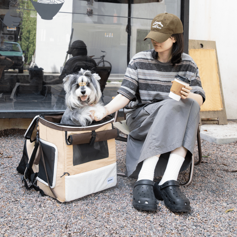 Beige Haustier-Rucksack-Tragetasche mit erweitertem Zelt neben sitzendem Besitzer und Hund