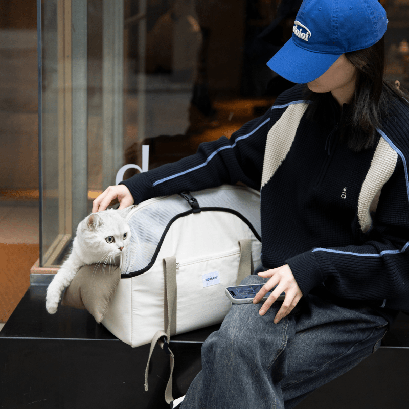 Pet Walking Shoulder Bag with Removable Mesh Cover - ZoePaws