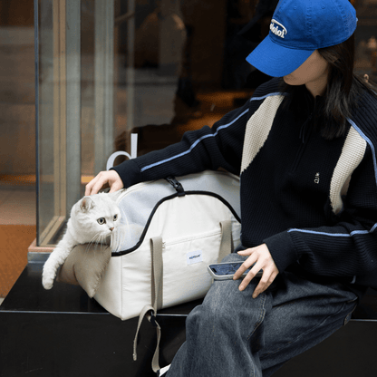 Pet Walking Shoulder Bag with Removable Mesh Cover - ZoePaws