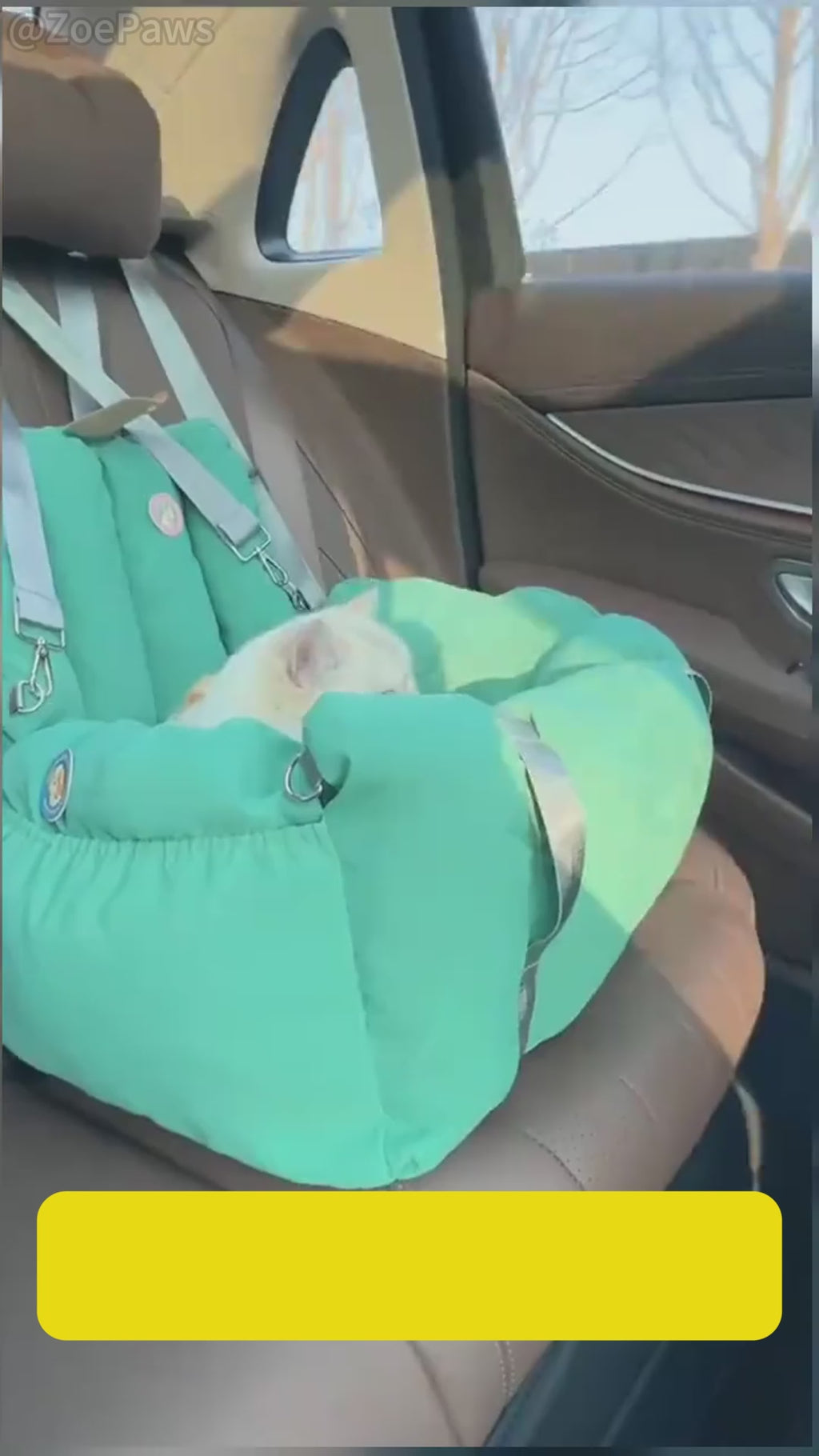 All-Season Car Cat Bed