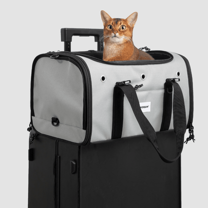 Graue Toast-Stil Haustier-Tragetasche für Flugreisen auf Koffer mit orangefarbener Katze darin