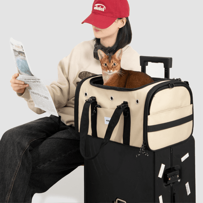 Beige Toast-Stil Haustier-Tragetasche für Flugreisen auf Koffer mit orangefarbener Katze neben sitzendem Besitzer