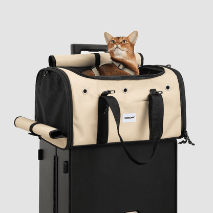 Toast-farbener Fluggast-Haustiertransporter mit atmungsaktiven Mesh-Fenstern und orangefarbener Katze oben