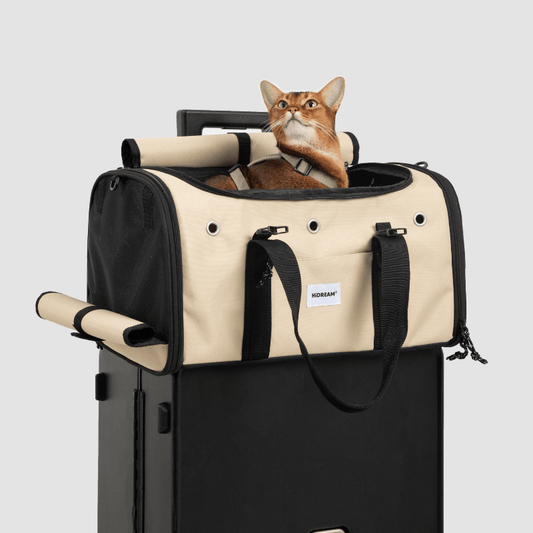 Toast-Style Airline Pet Carrier with Breathable Mesh Windows - ZoePaws