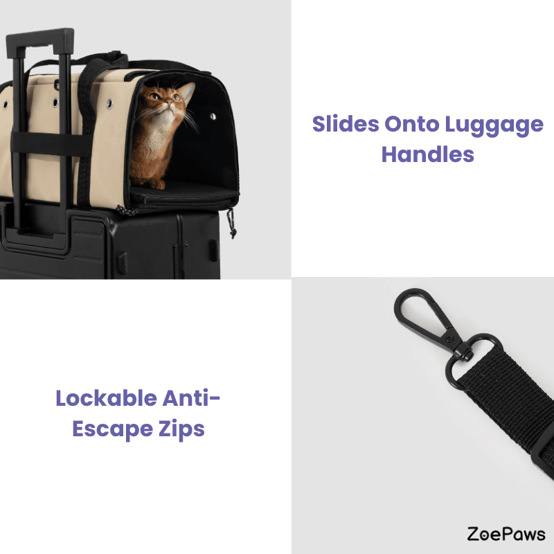 Toast-Style Airline Pet Carrier with Breathable Mesh Windows - ZoePaws