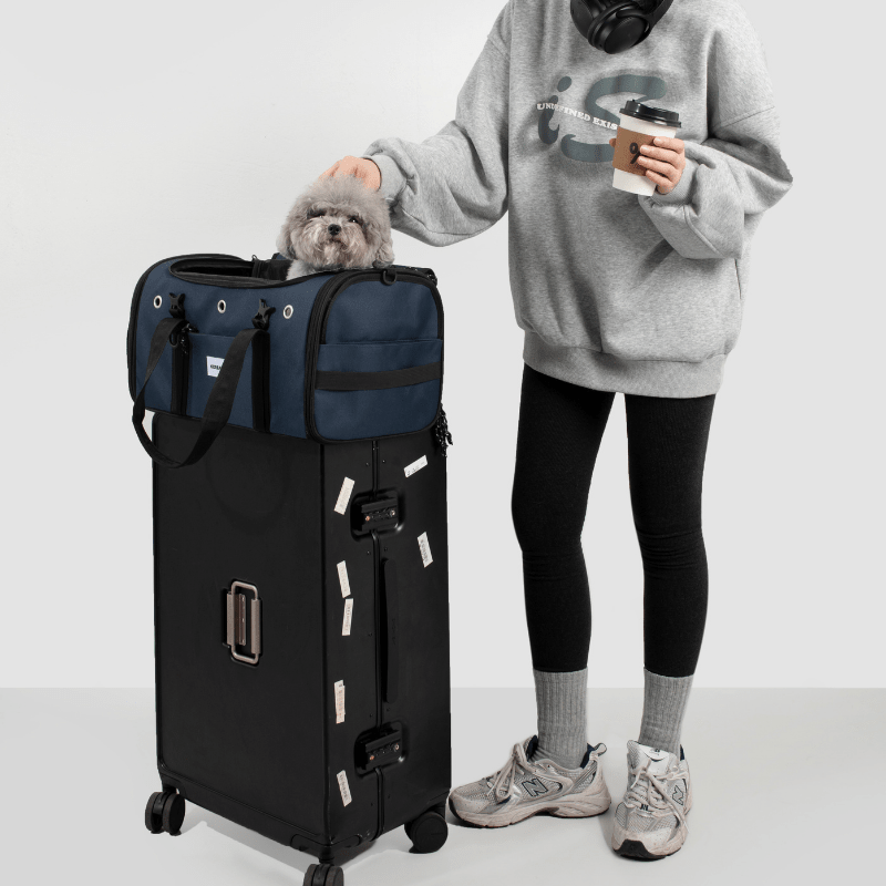 Toast-Style Airline Pet Carrier with Breathable Mesh Windows - ZoePaws