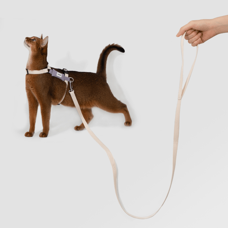 Valley Series Lightweight Cat Harness - ZoePaws