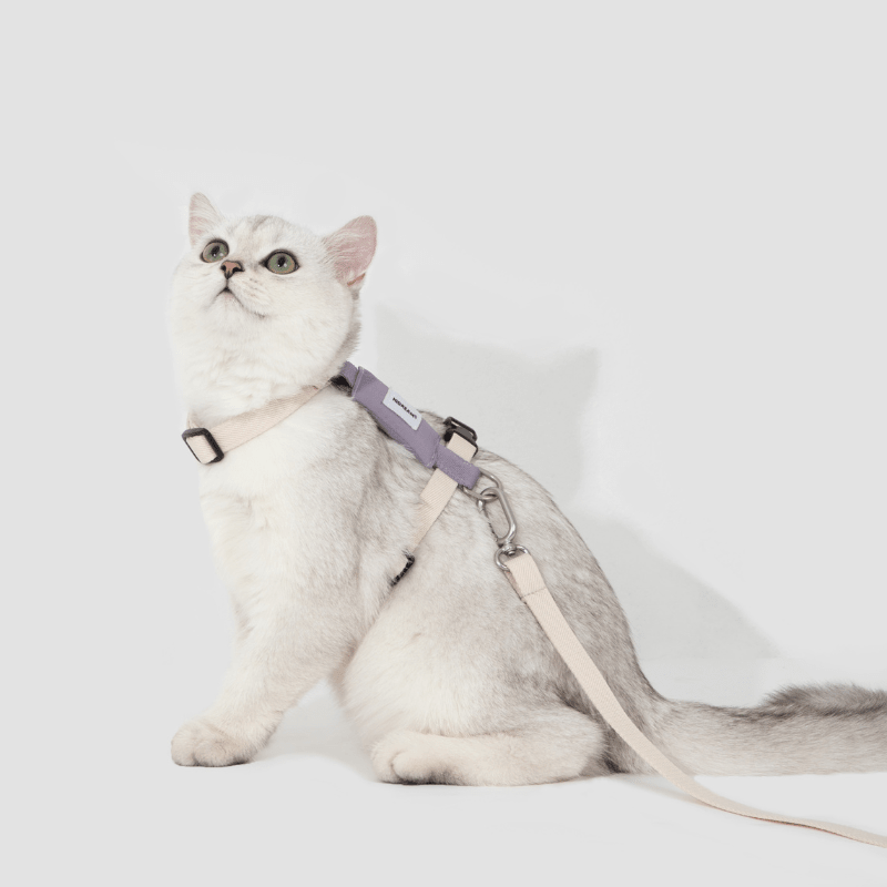 Valley Series Lightweight Cat Harness - ZoePaws