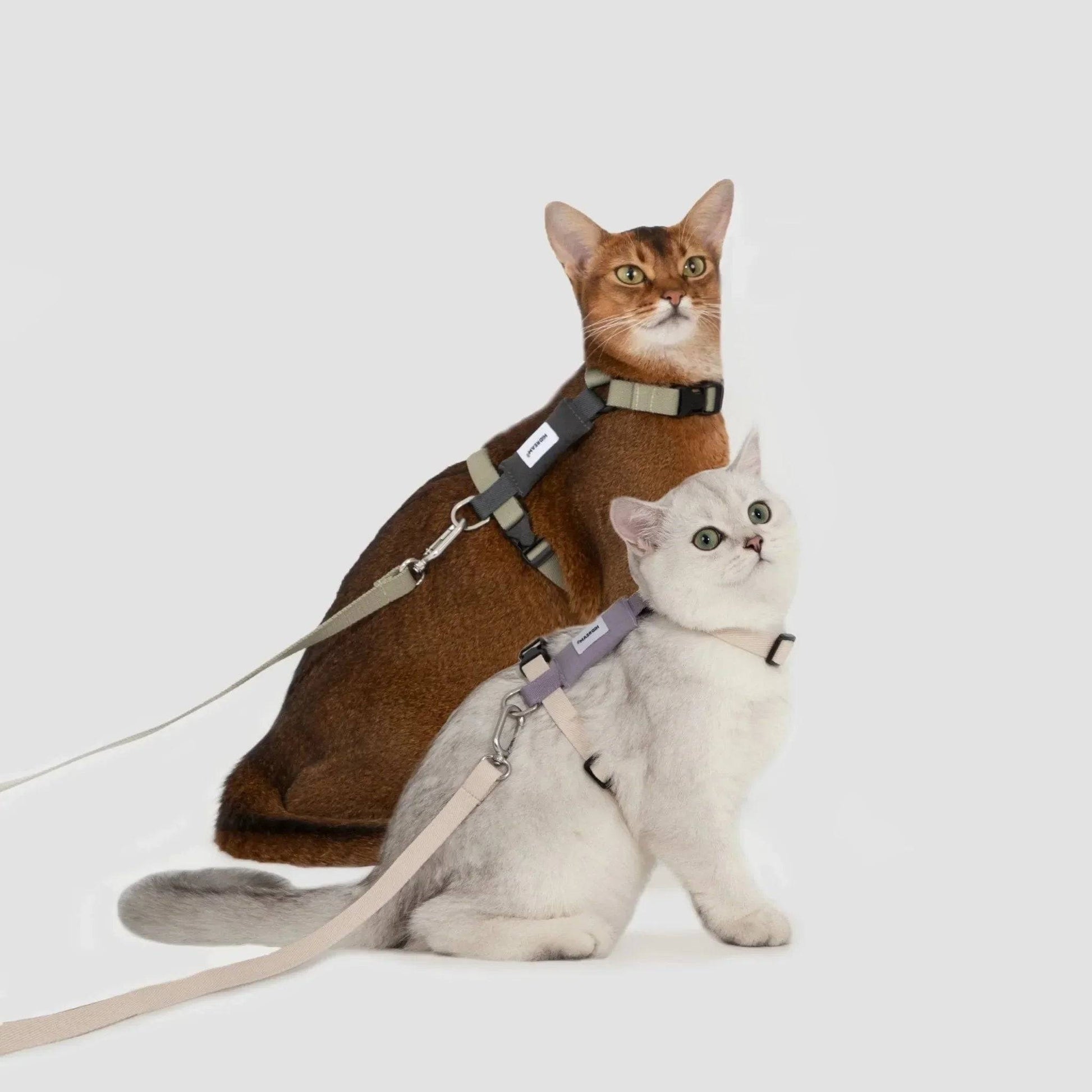 Valley Series Lightweight Cat Harness - ZoePaws