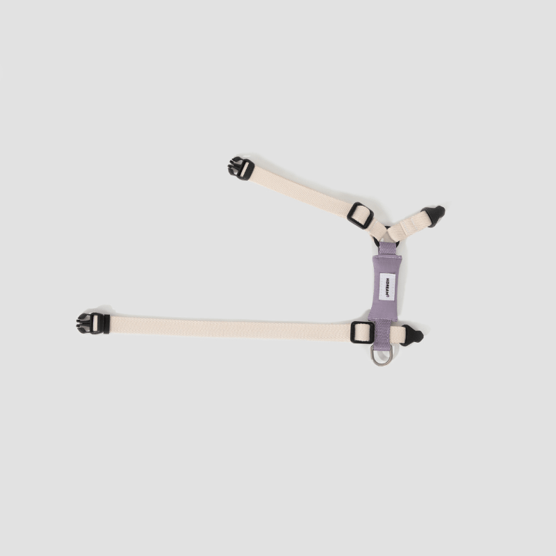 Valley Series Lightweight Cat Harness - ZoePaws