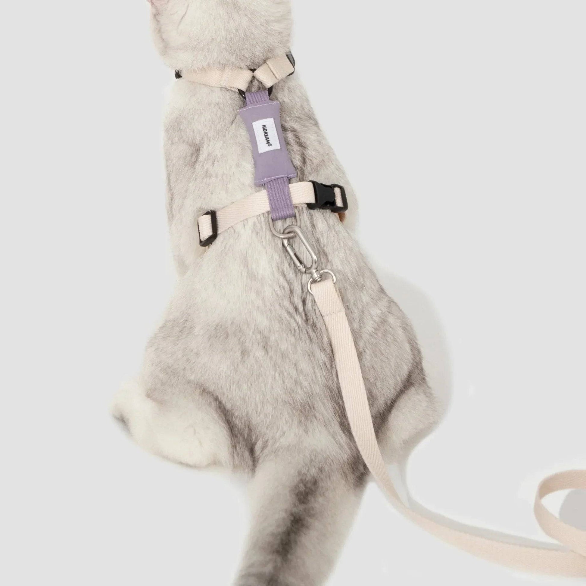 Valley Series Lightweight Cat Harness - ZoePaws